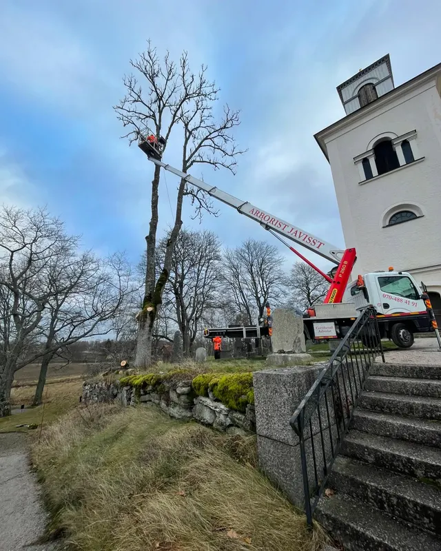 Arborist i skylift