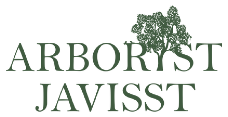 Arborist Javisst